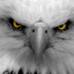 Meet your Posher, Joelle